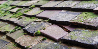 Folkington roof repair costs